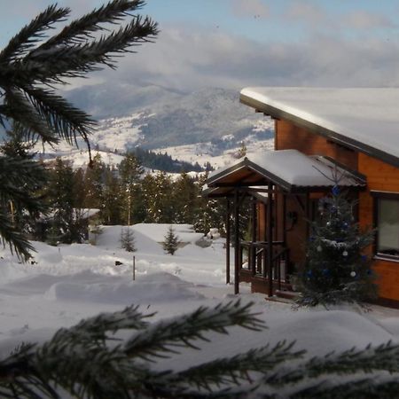 Коттедж Для Отдыха Дискавери Yablunytsya Exterior photo
